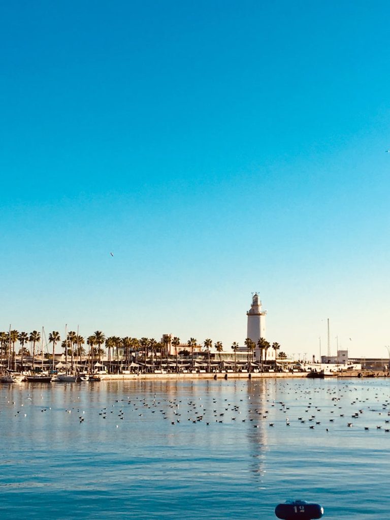 Stunning daytime view of Málaga port with a lighthouse, palm trees, and a clear blue sky.